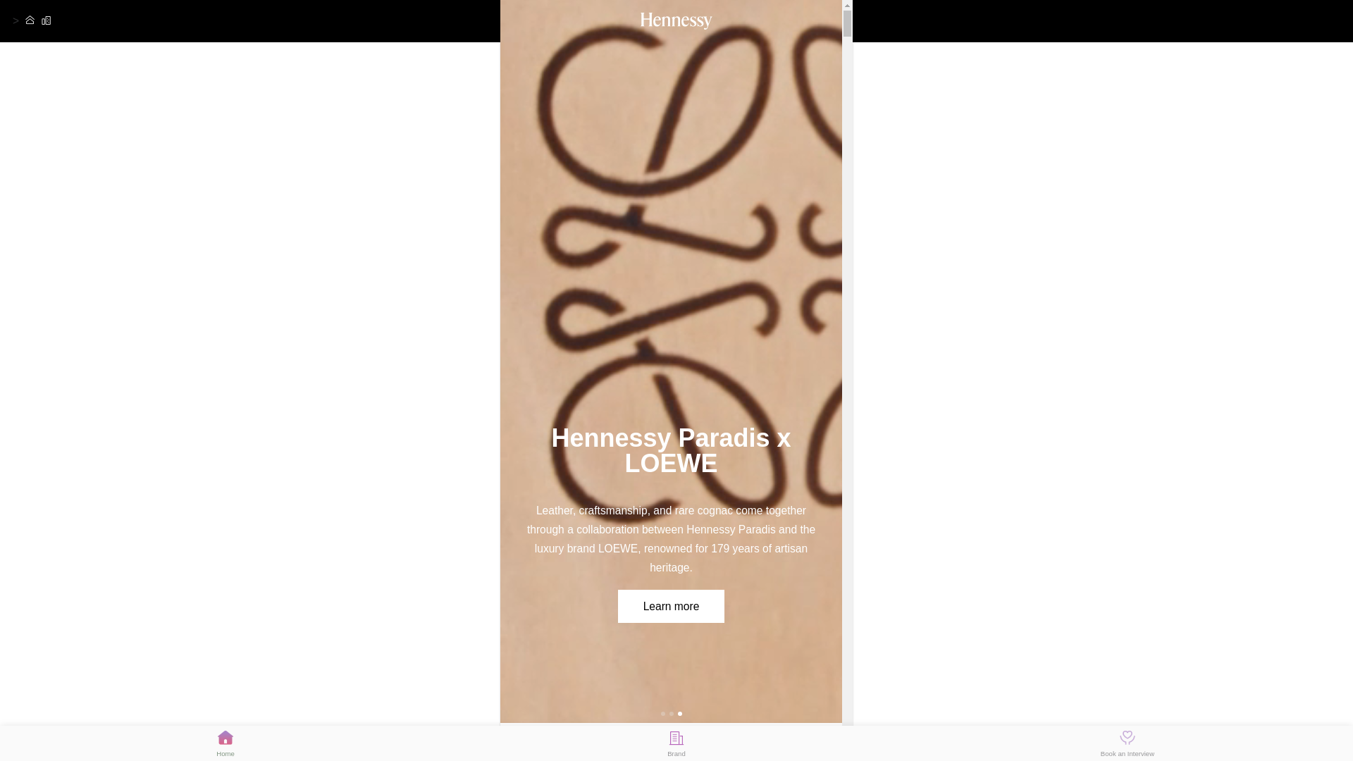 website screenshot of https://henxespy.cc/