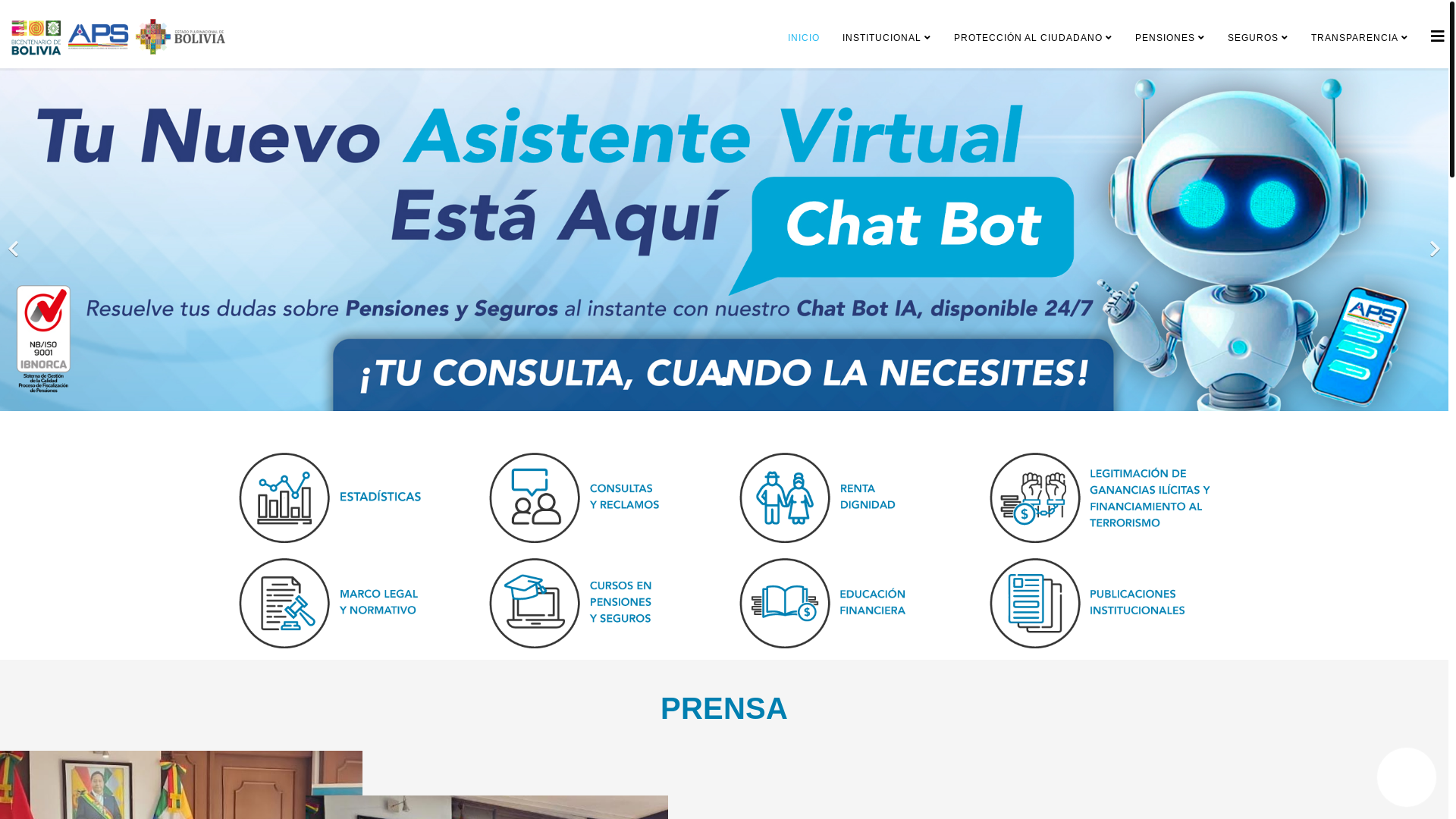 website screenshot of https://www.aps.gob.bo