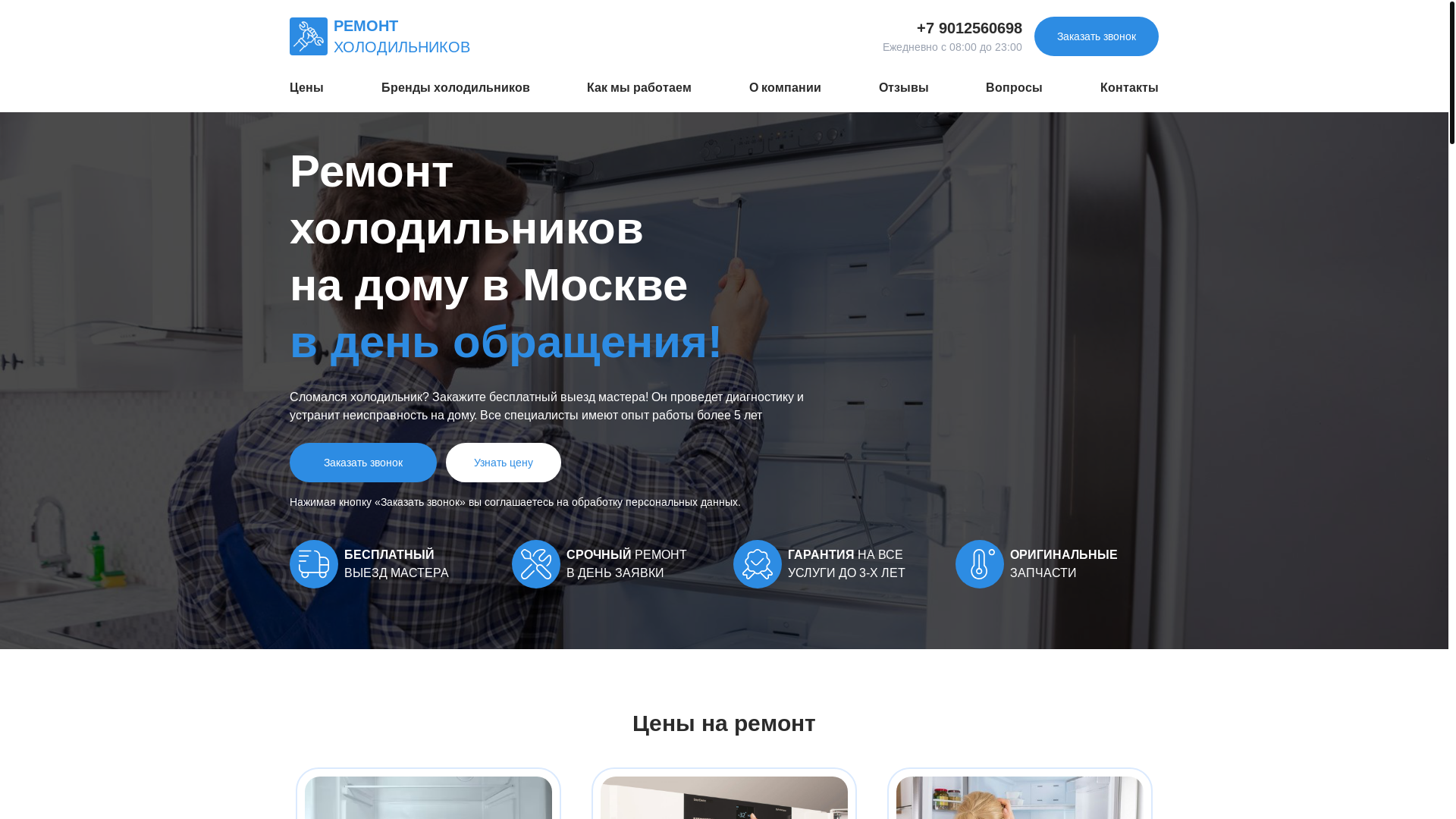 website screenshot of https://holodpraktik.ru/