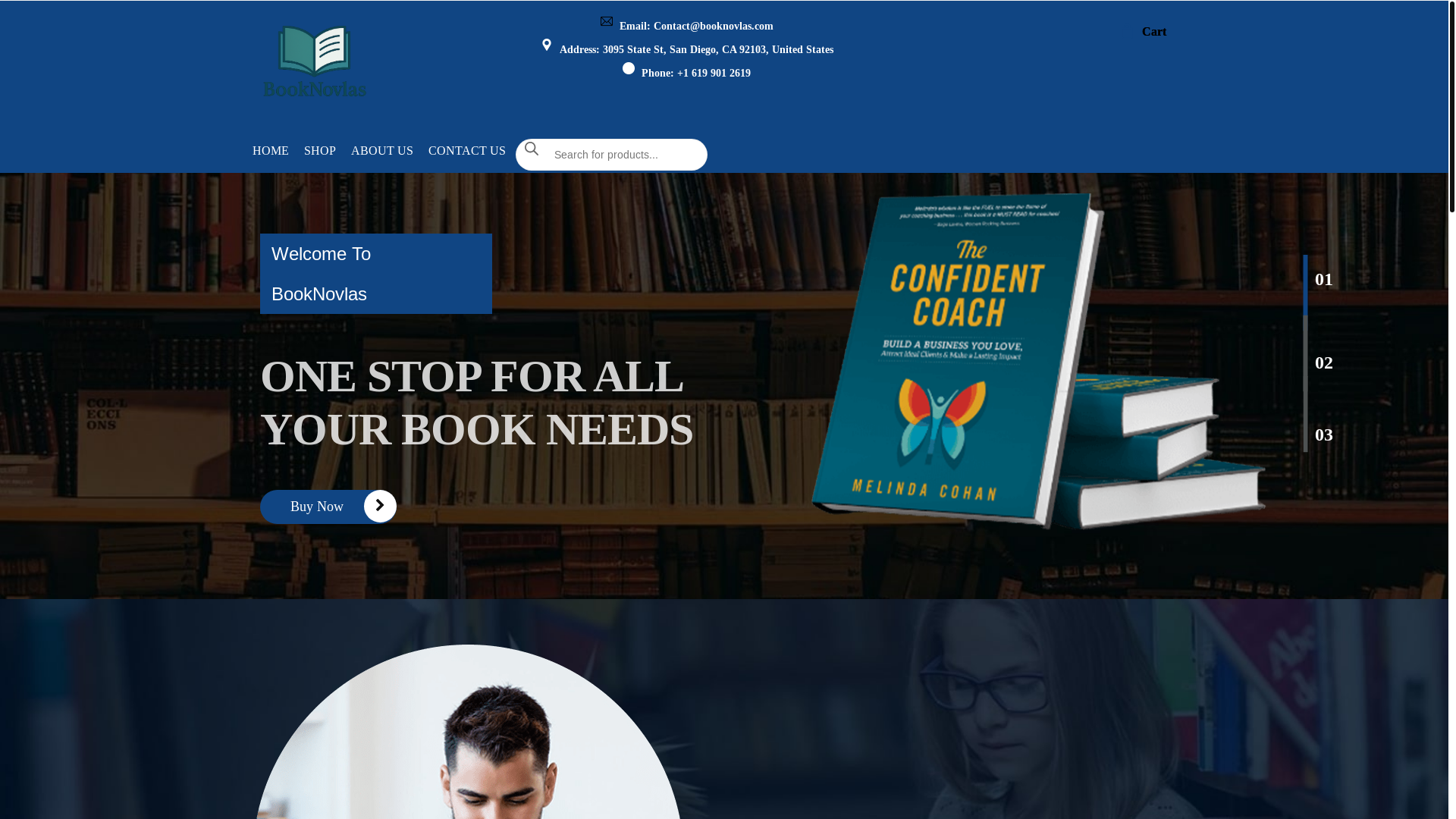 website screenshot of https://novbookace.com/
