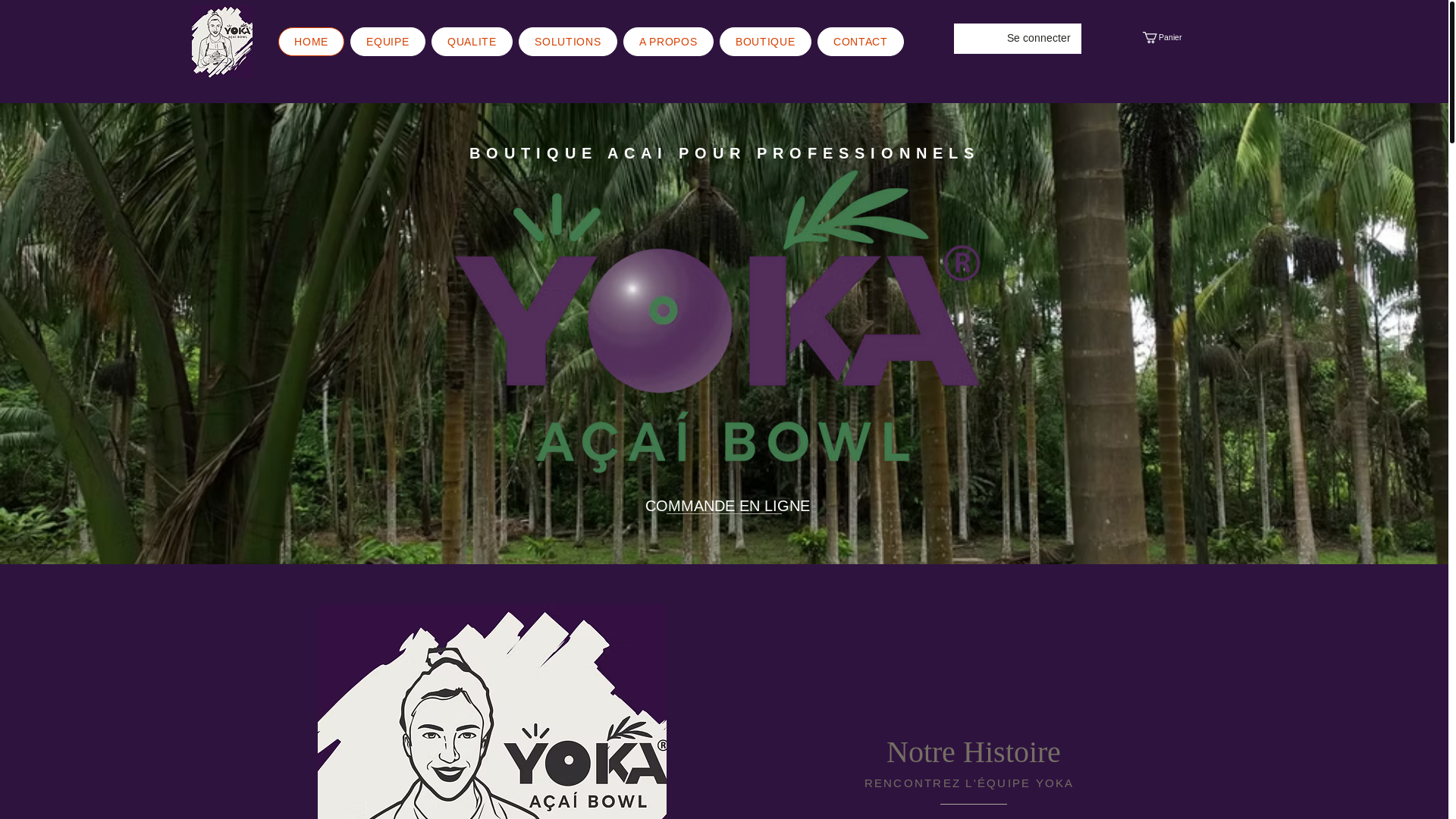 website screenshot of https://yoky.ch/
