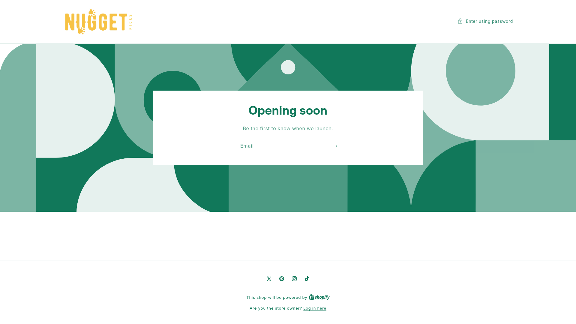 website screenshot of https://nuggetpicks.store/