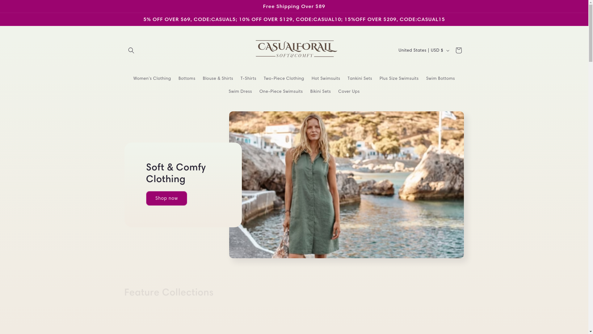 website screenshot of https://summerchics.shop/