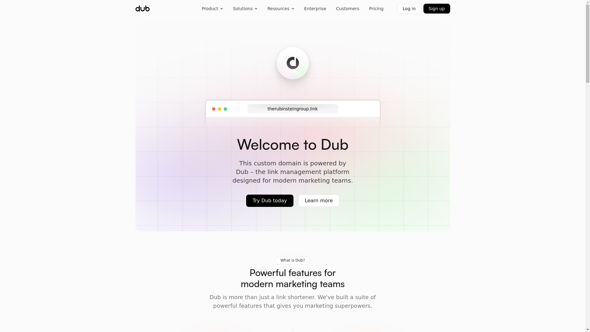 website screenshot of https://therubinsteingroup.link/