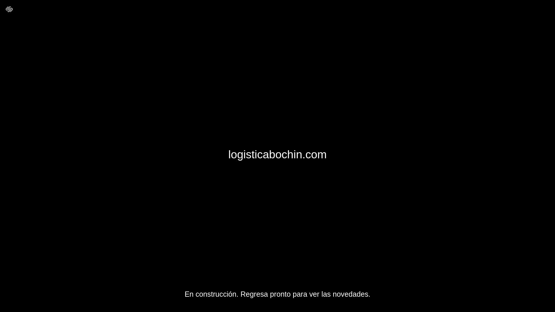 website screenshot of https://logisticabochin.com/