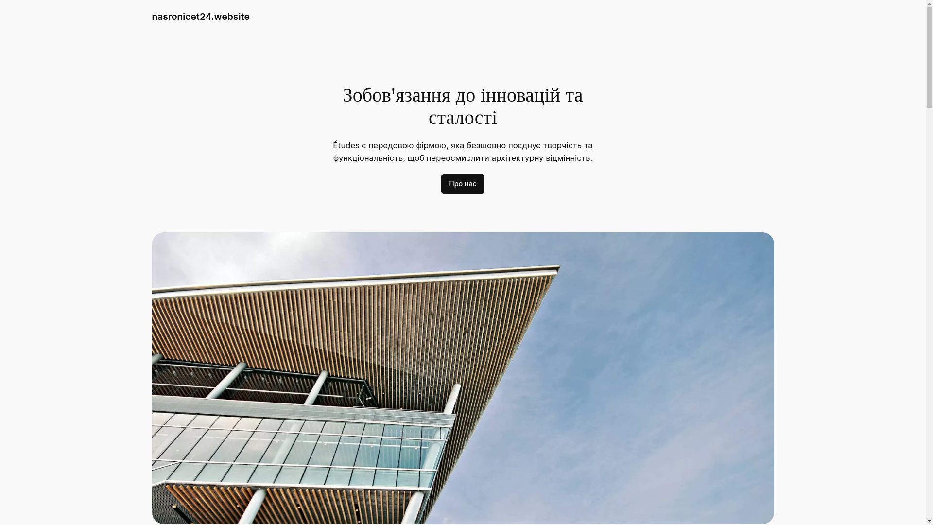 website screenshot of https://nasronicet24.website/