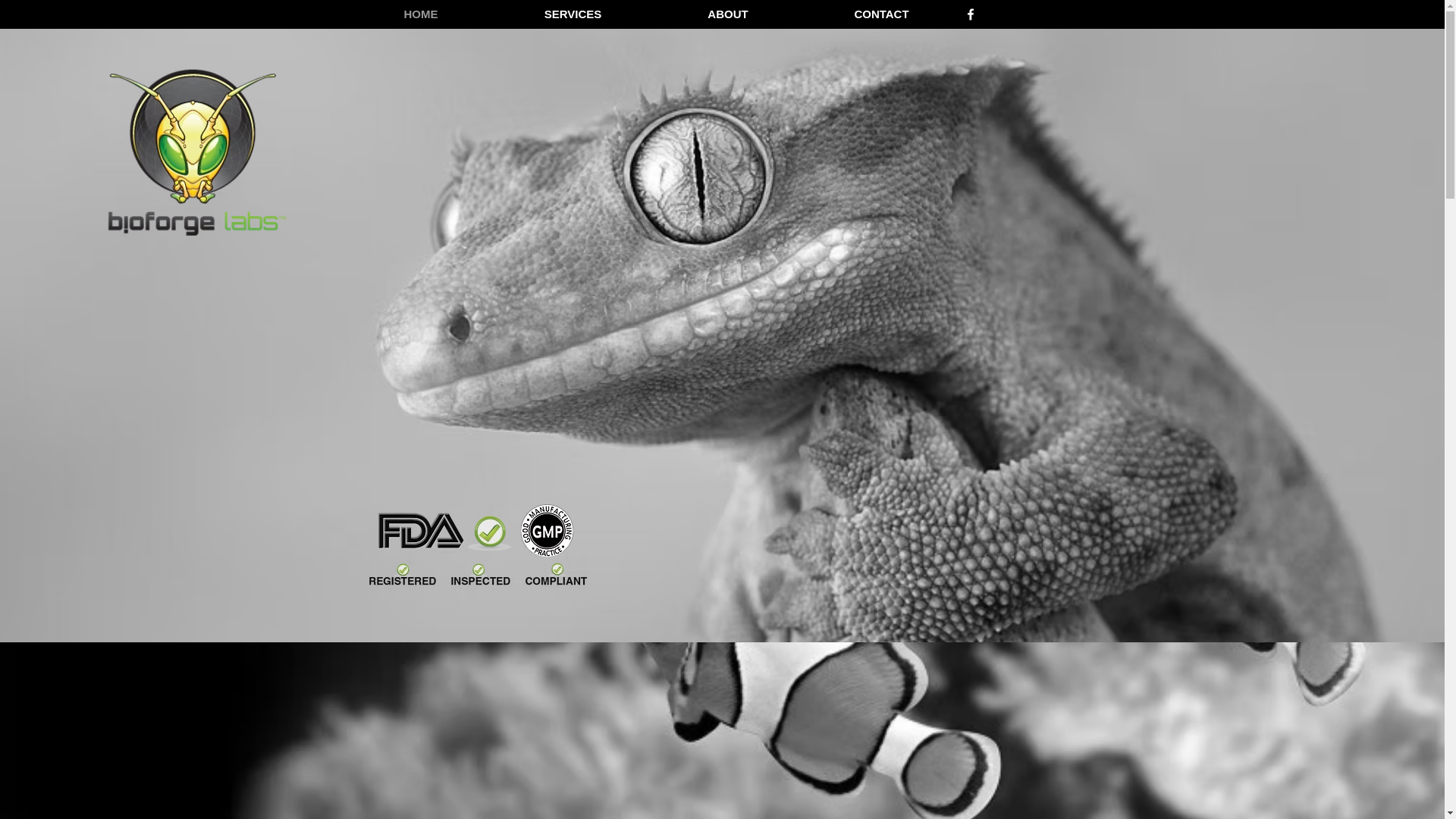 website screenshot of https://privatelabelreptilefood.com/