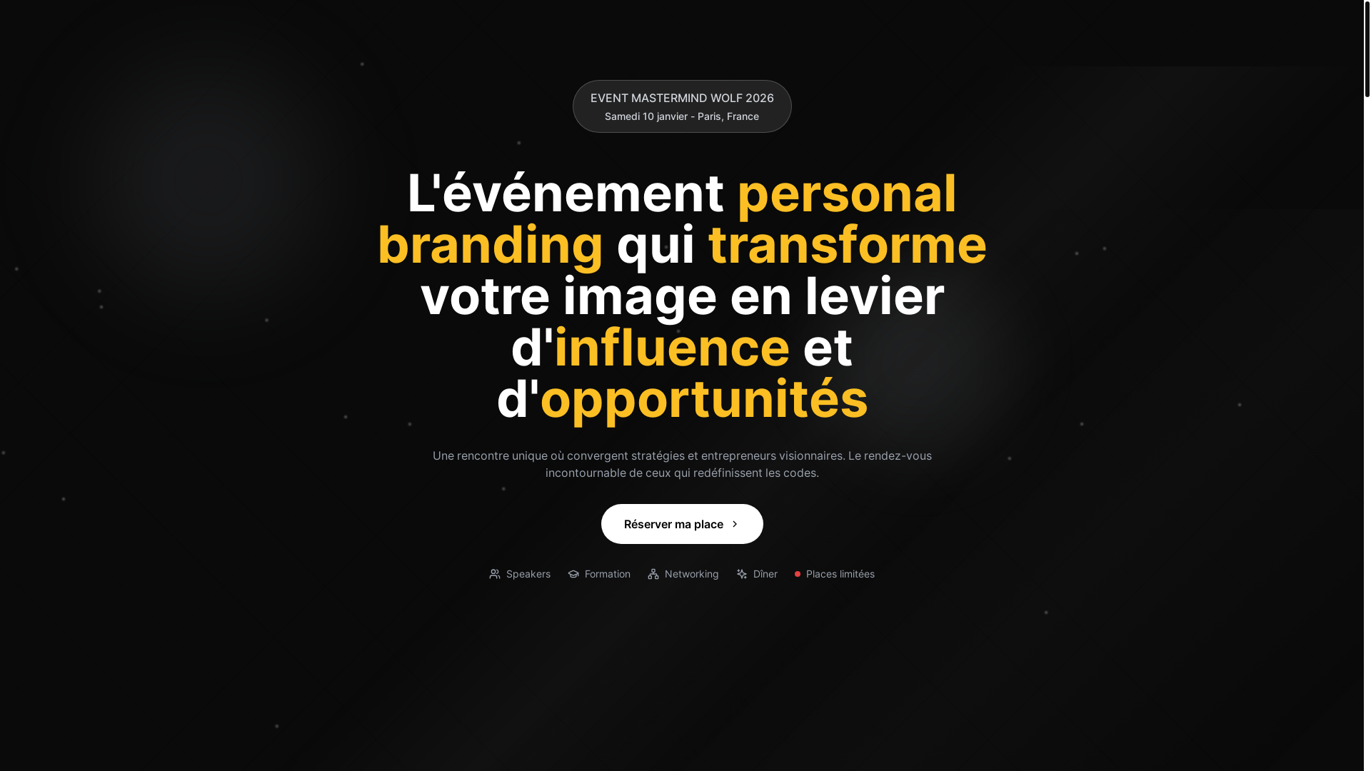 website screenshot of https://wolfmastermind.fr/