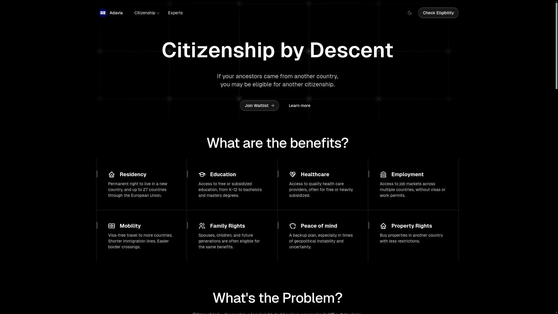 website screenshot of https://adavia.us/