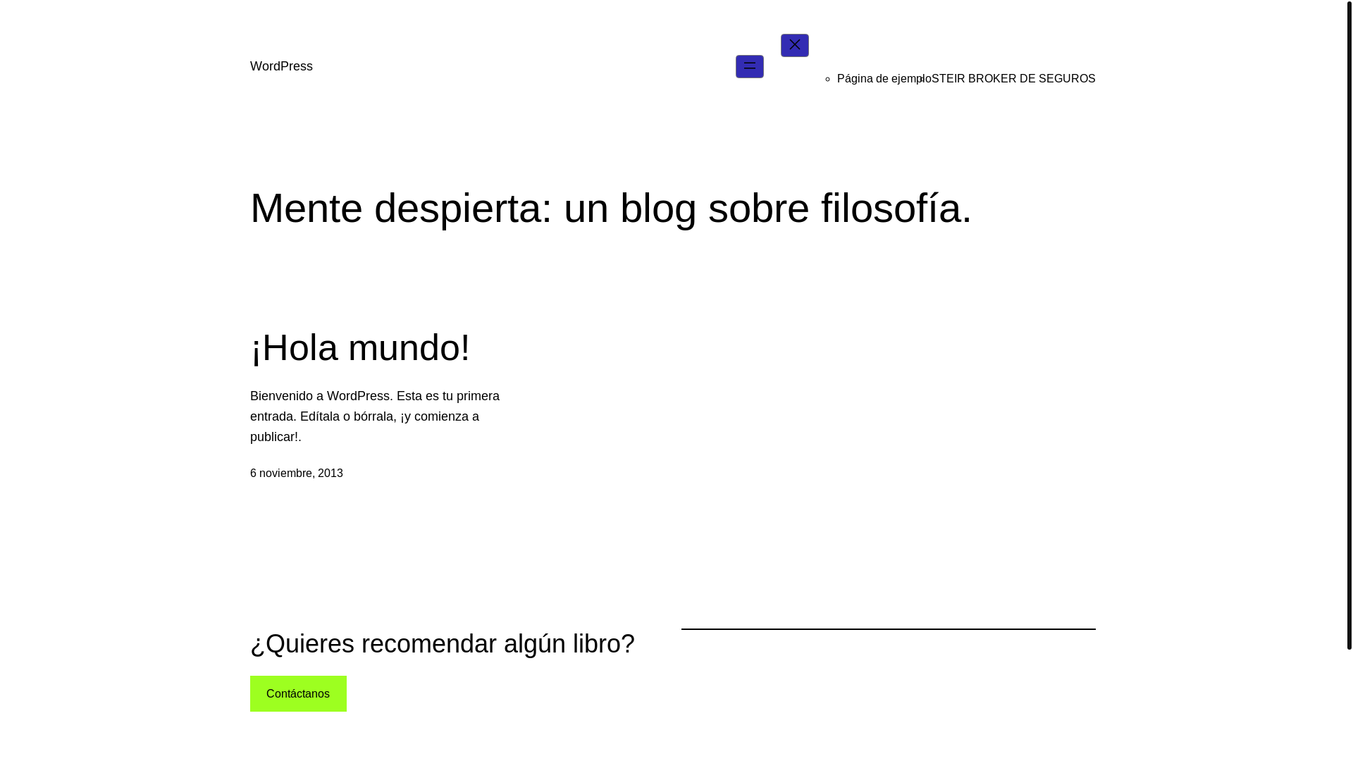 website screenshot of https://steir.com.ar/