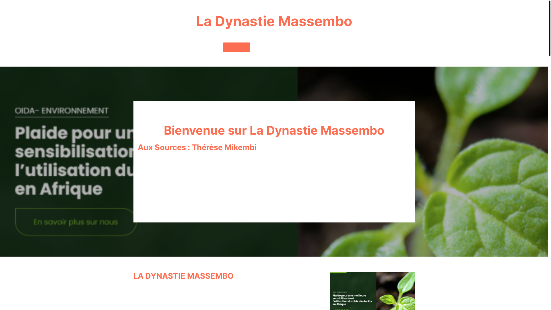 website screenshot of https://ladynastiemassembo.fr/