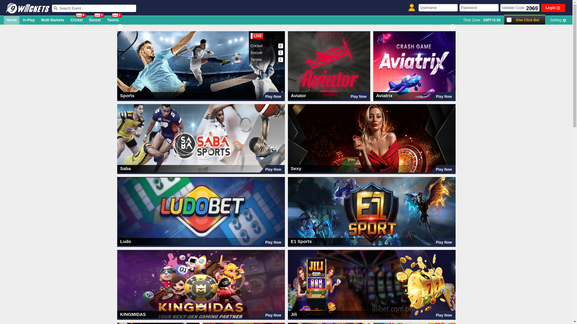 website screenshot of https://9wickets.life/
