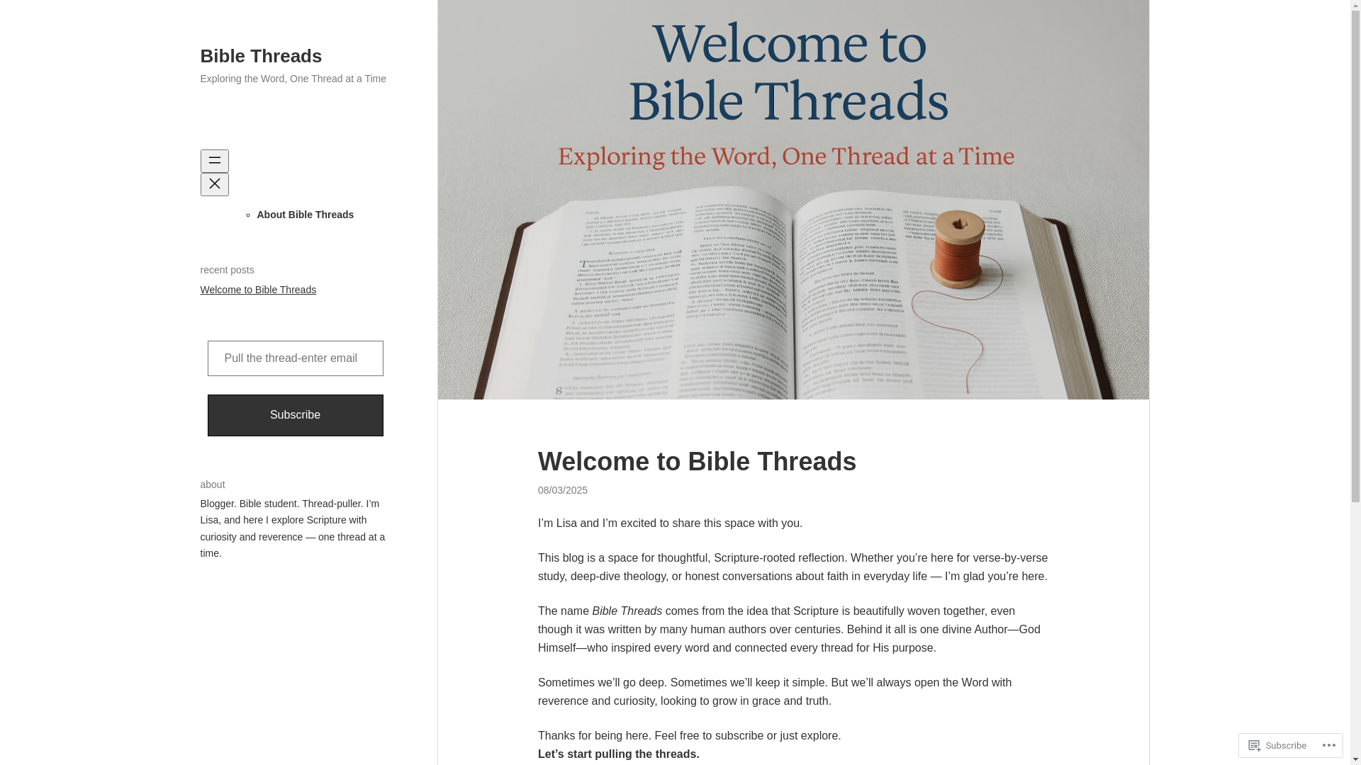 website screenshot of https://biblethreadsblog.com/