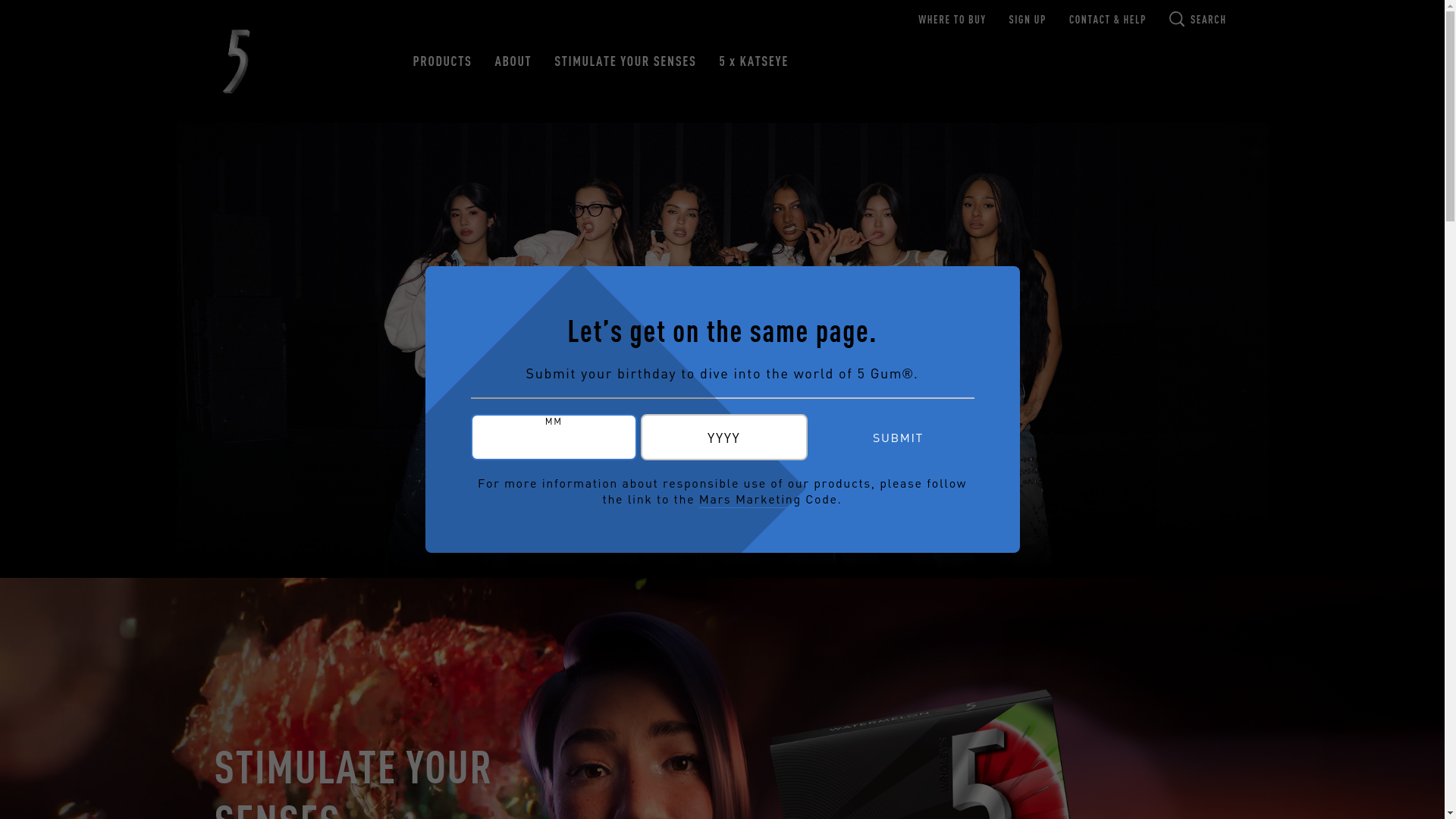 website screenshot of https://5gum.com/