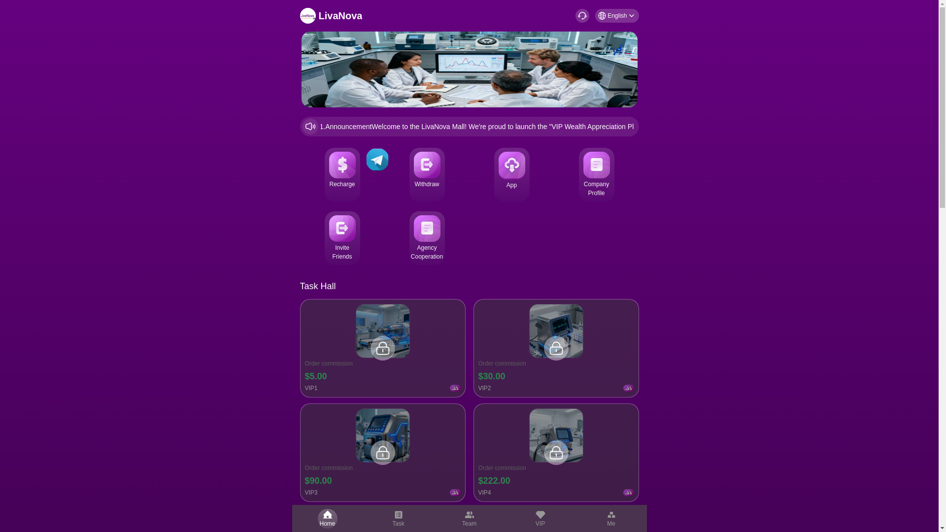 website screenshot of https://go-livanova.cfd/