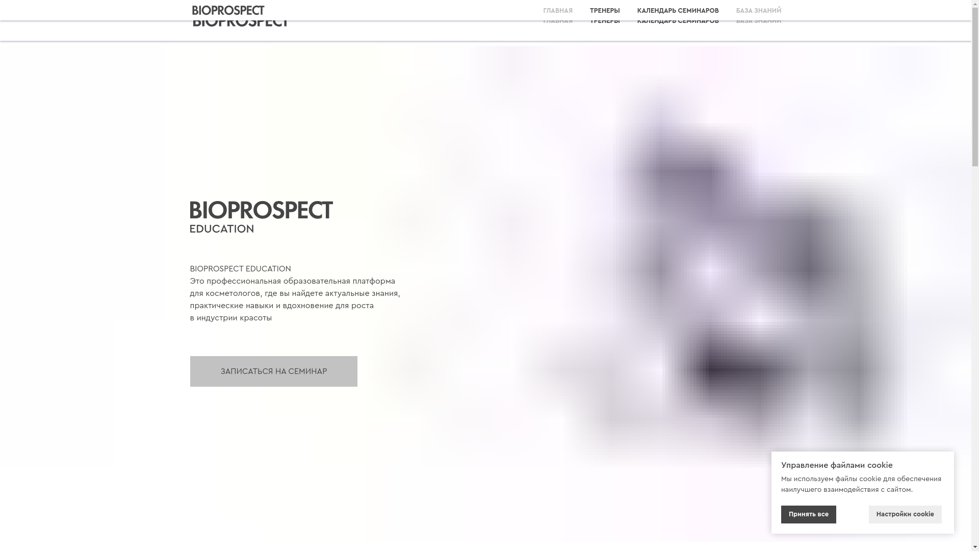website screenshot of https://bioprospect-education.ru/