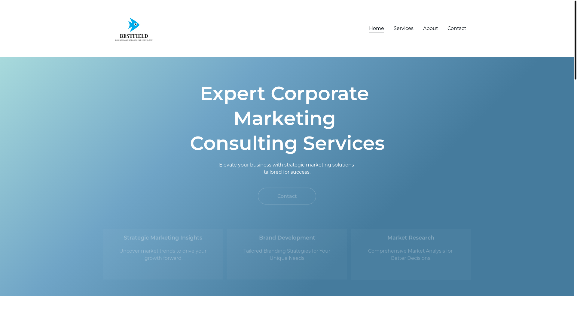 website screenshot of https://ubachieze.shop/