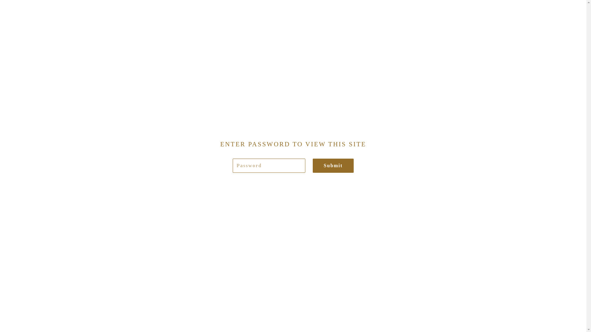 website screenshot of https://jaimeandsalvatore.com/