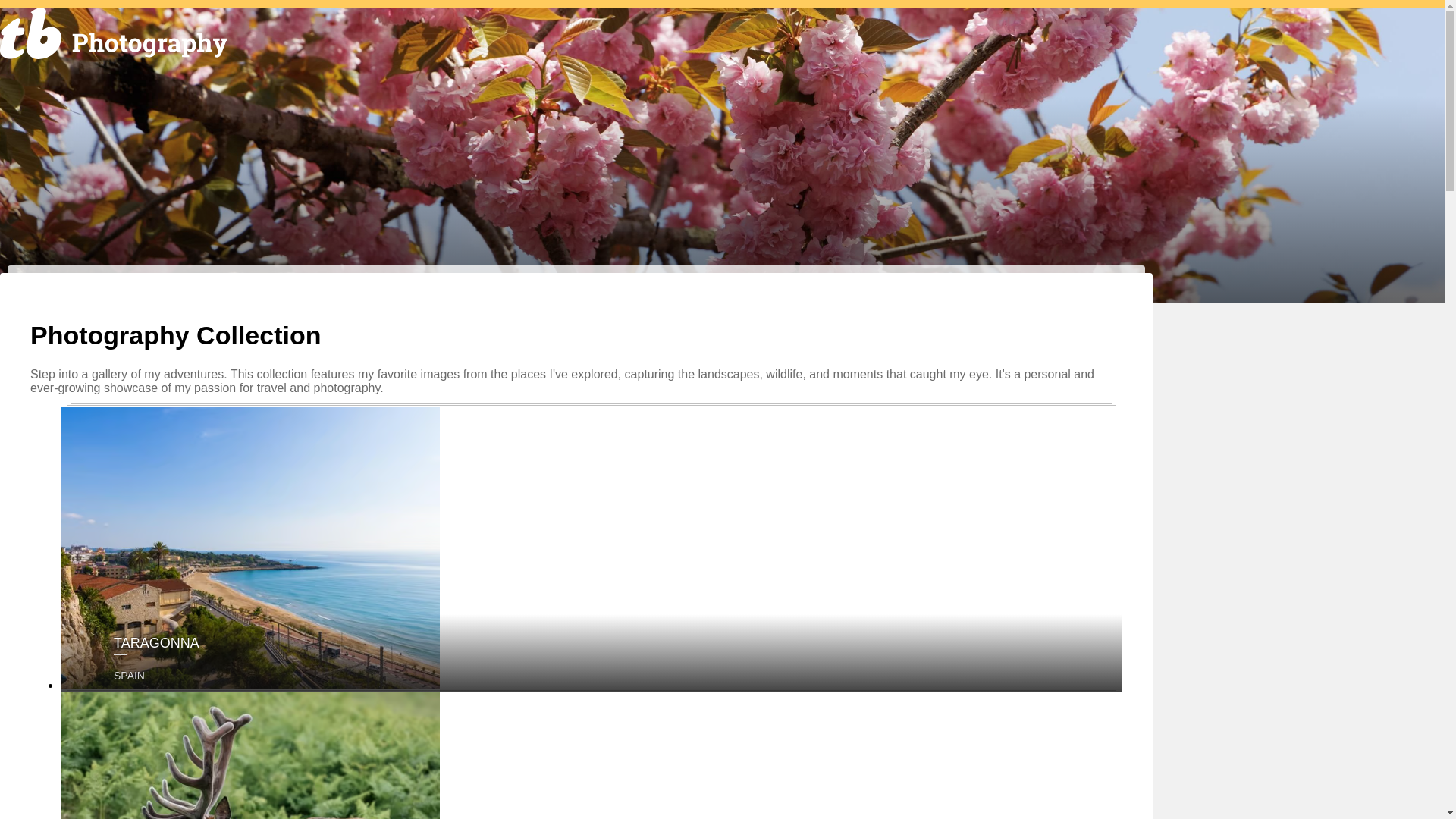 website screenshot of https://photographycollection.pages.dev/