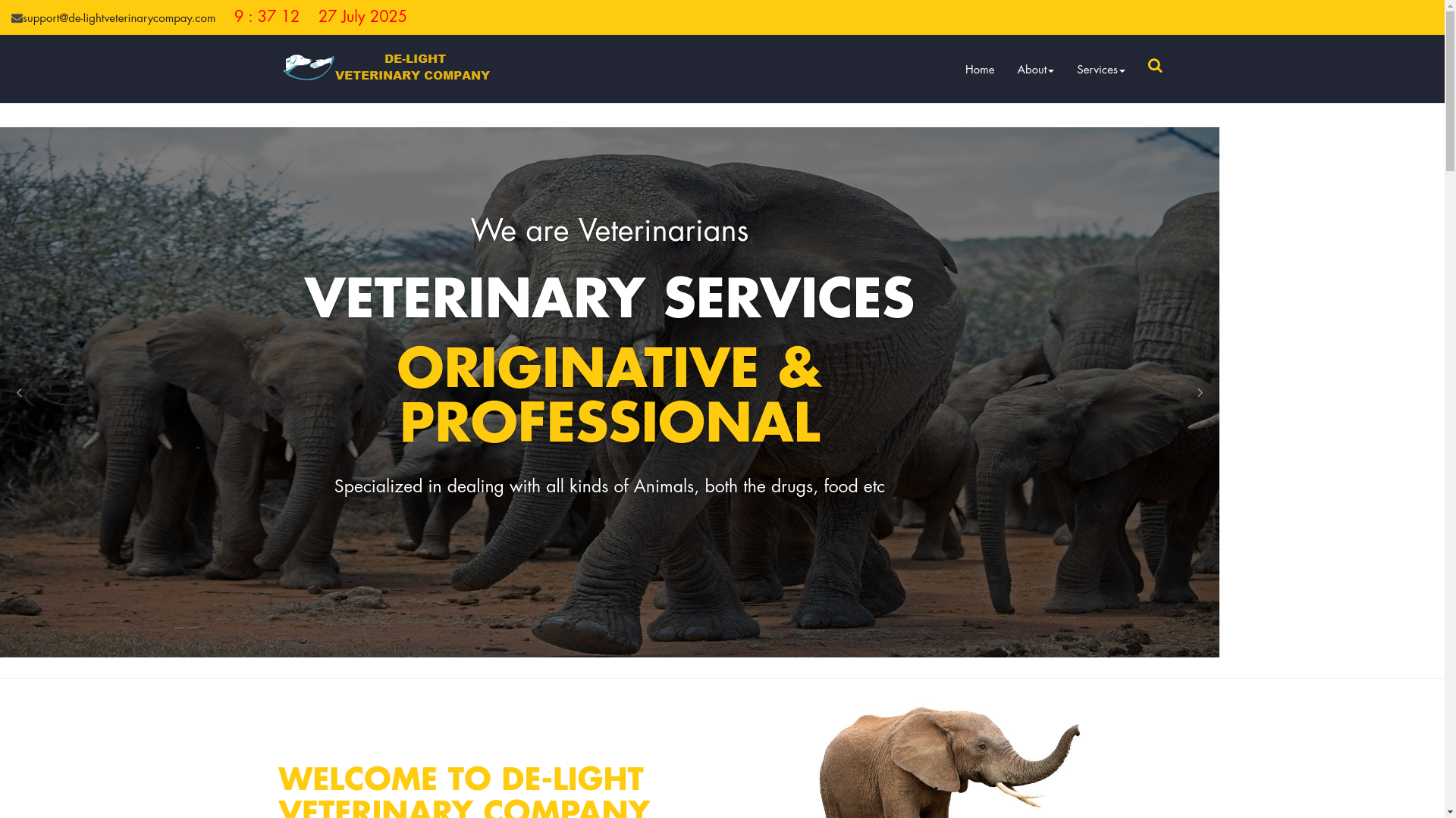 website screenshot of https://de-lightveterinarycompay.com/