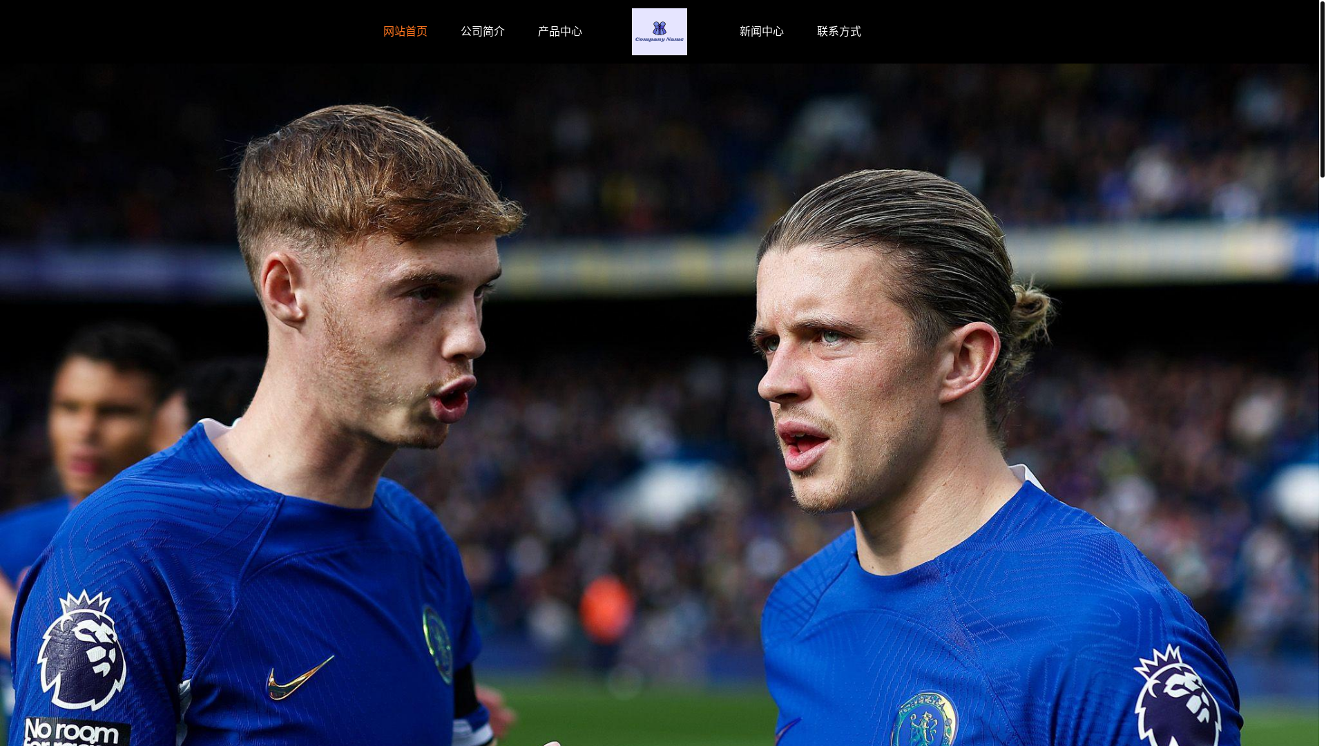 website screenshot of https://hd-haixingtiyu.com/