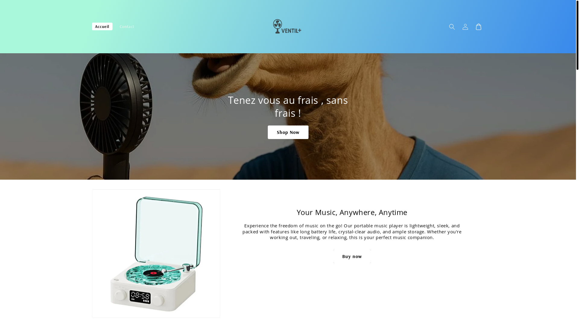 website screenshot of https://ventilplus.store/