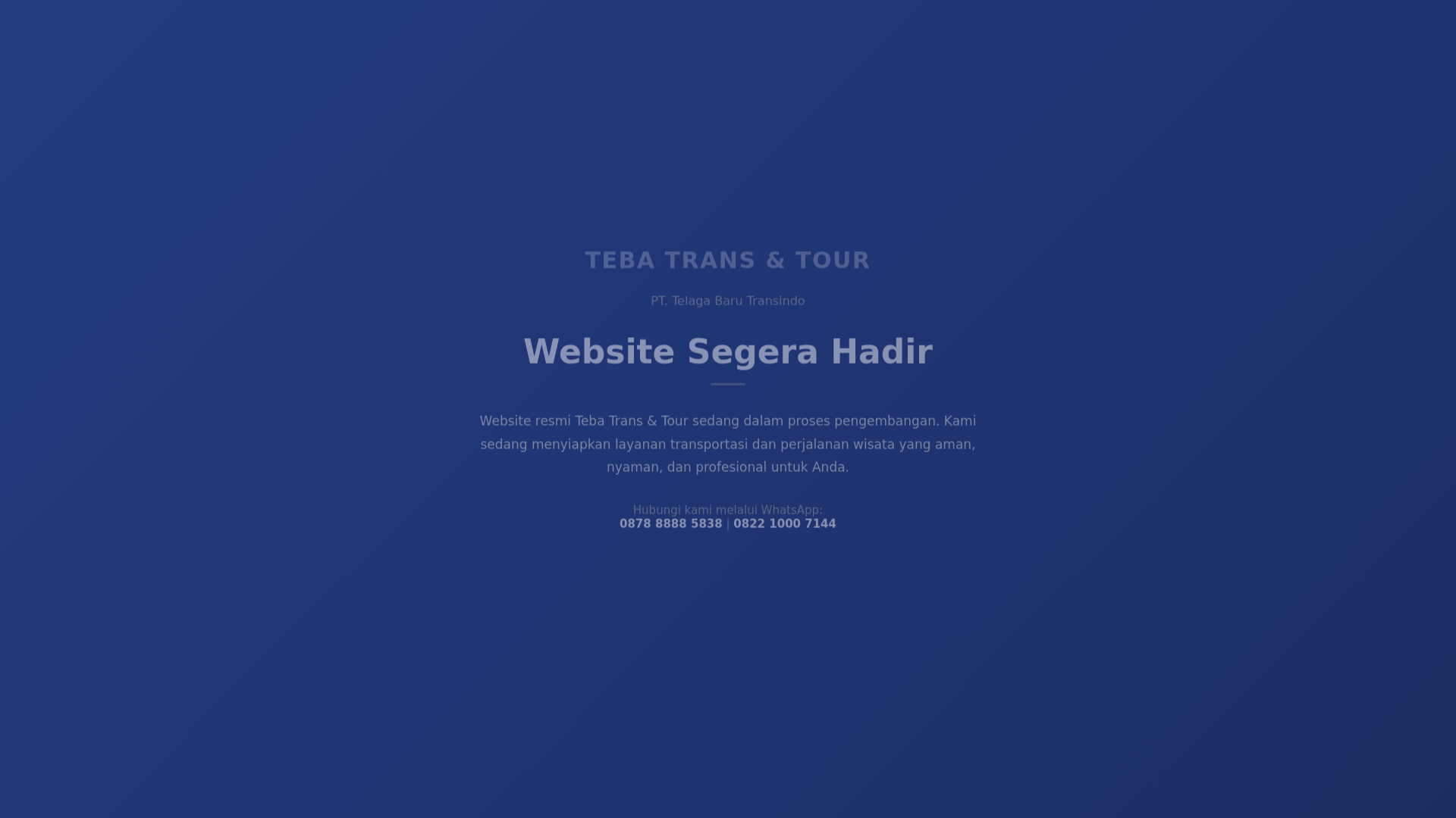 website screenshot of https://tebatranstour.com/