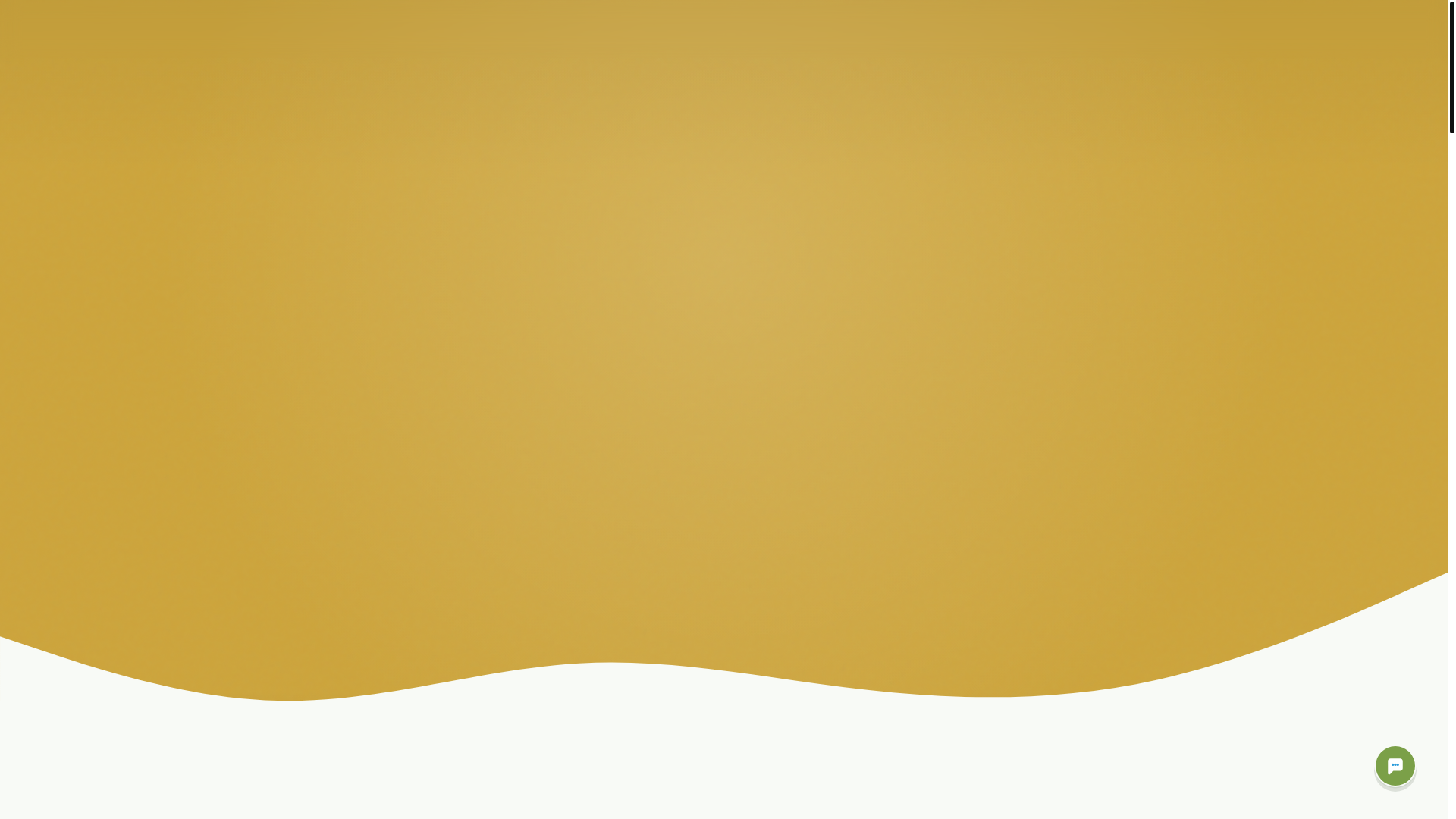 website screenshot of https://megaseller-pos-landing.pages.dev/