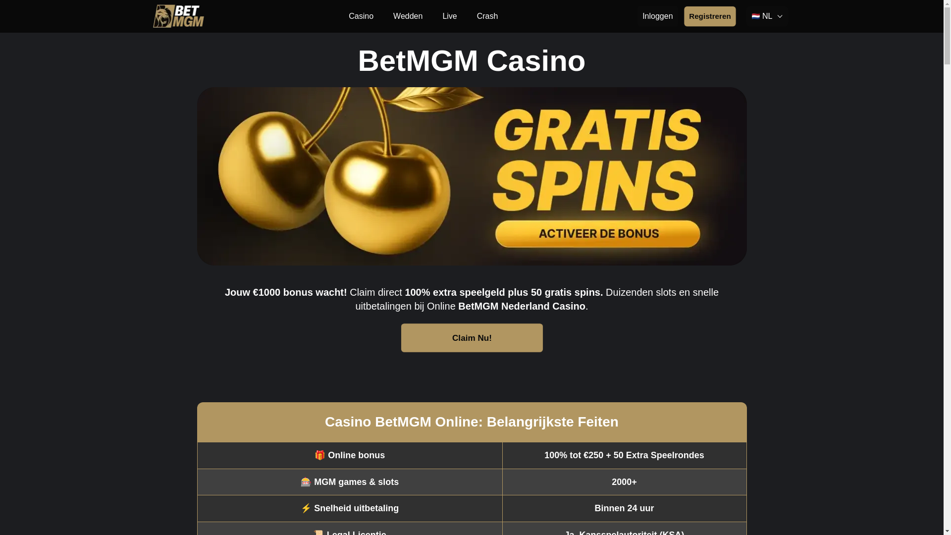 website screenshot of https://casinobetmgm-org-10579-cji.pages.dev/