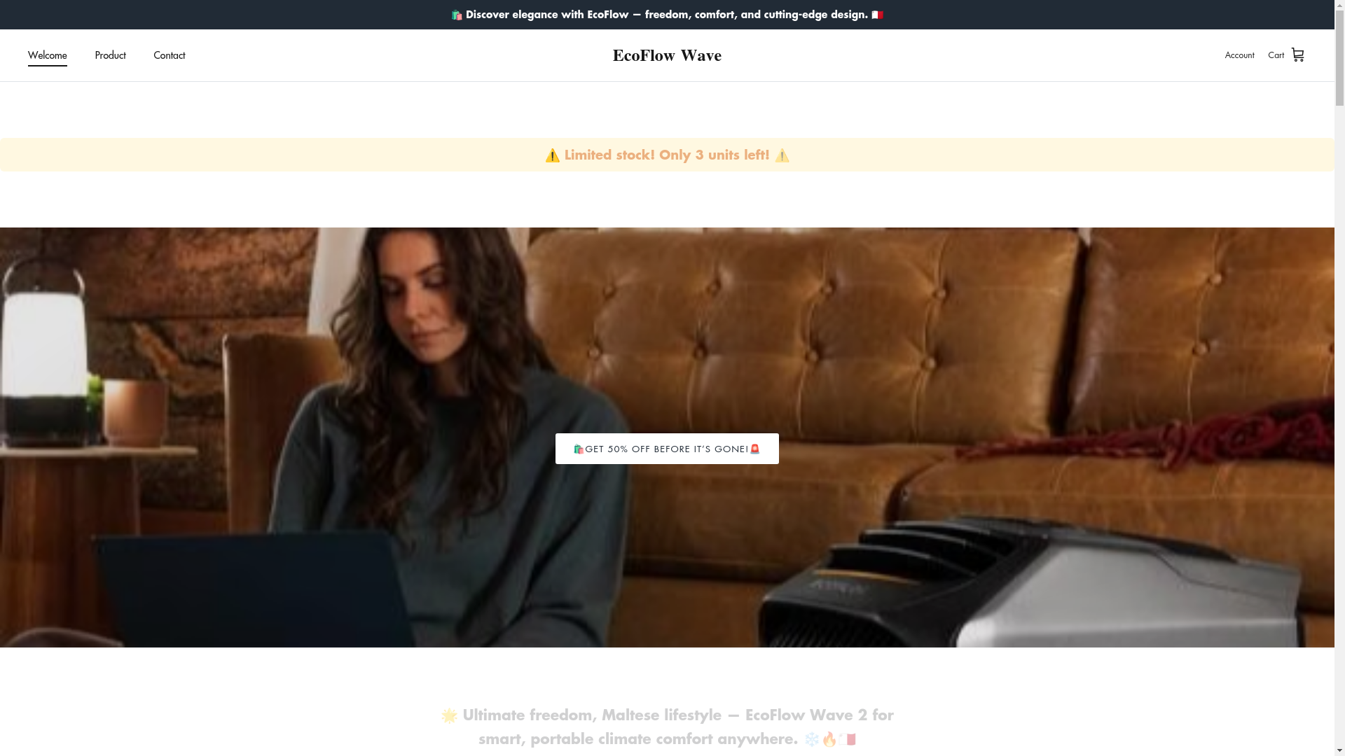website screenshot of https://ecoflow-wave.store/