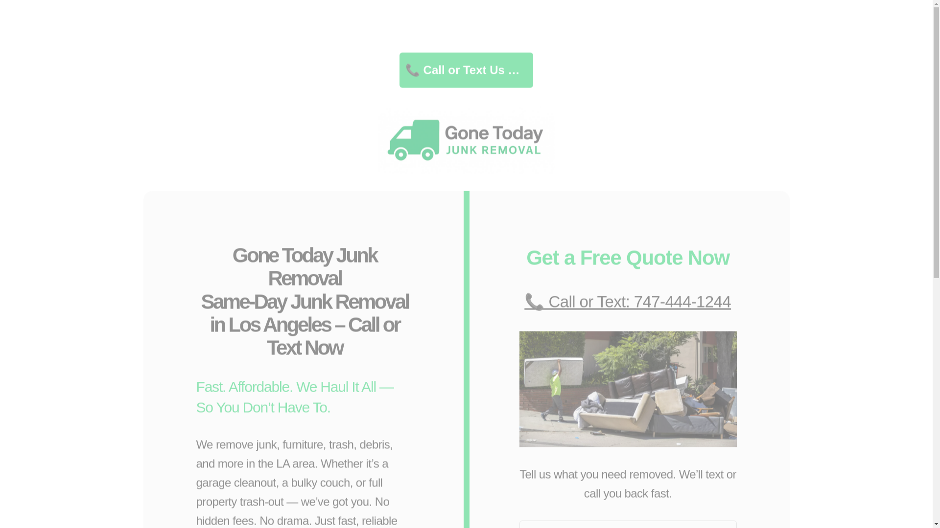 website screenshot of https://junkremovalgonetoday.com/