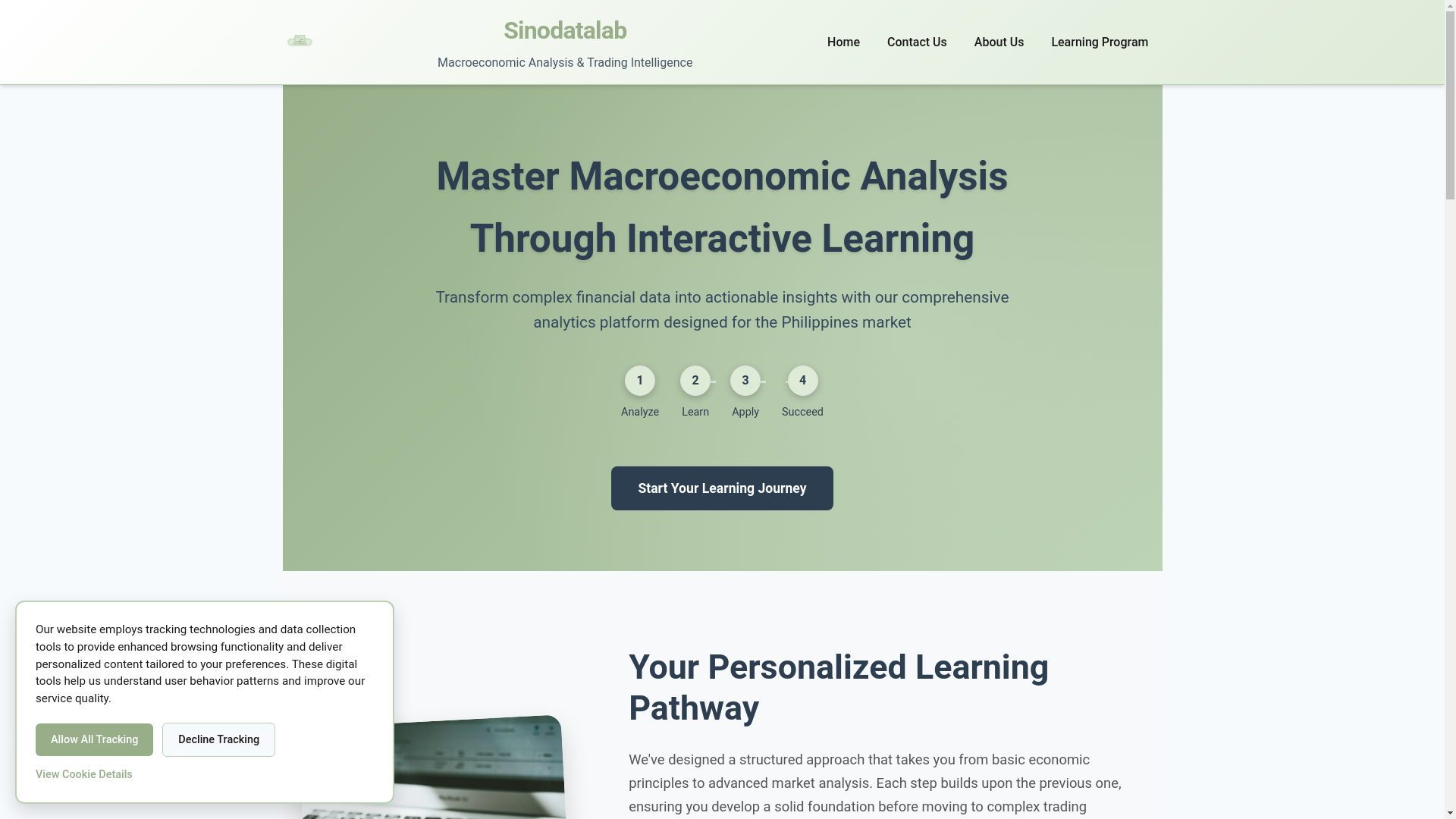 website screenshot of https://analyvias.com/?