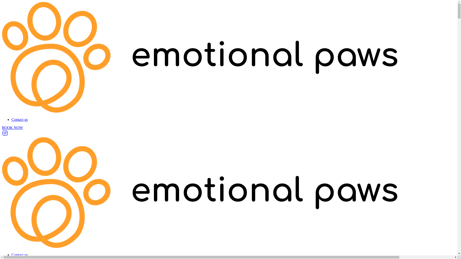 website screenshot of https://emotionalpaws.online/