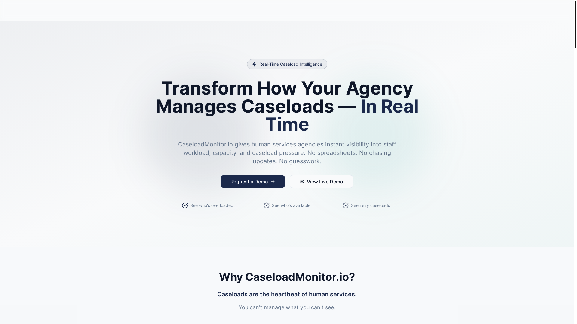 website screenshot of https://caseloadmonitor.io/