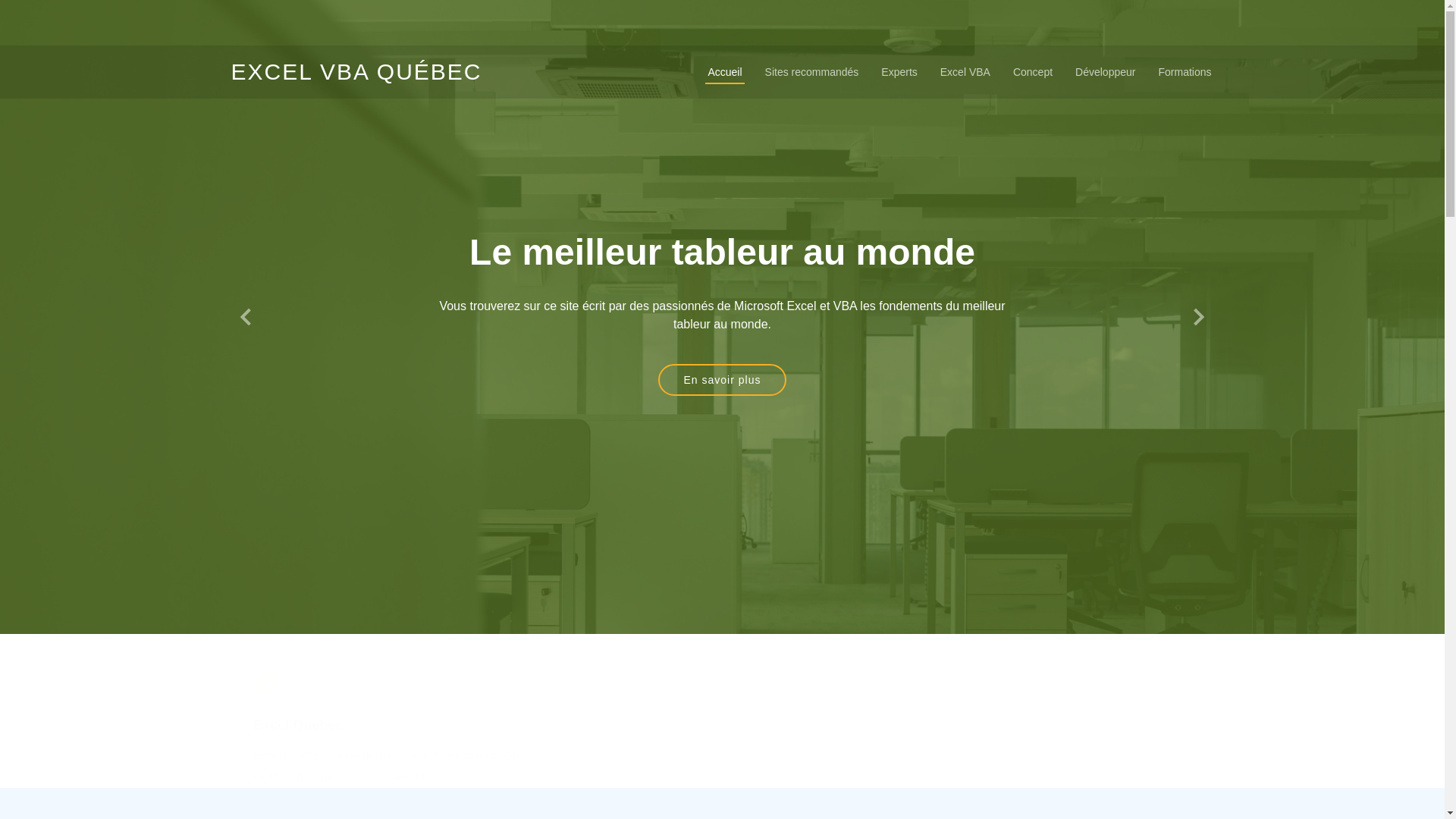 website screenshot of https://excel-vba.quebec