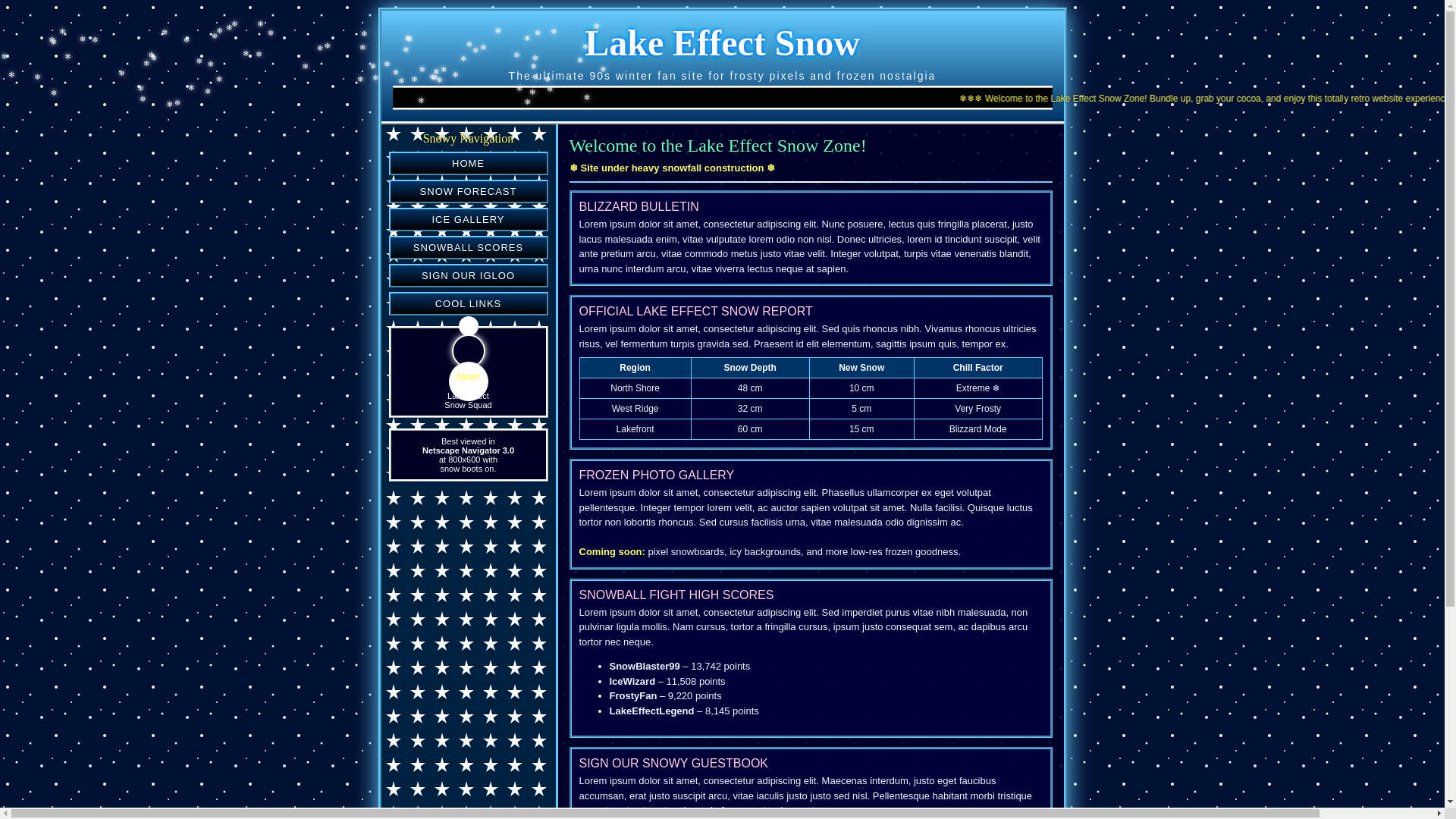 website screenshot of https://lakeeffectsnow.co/