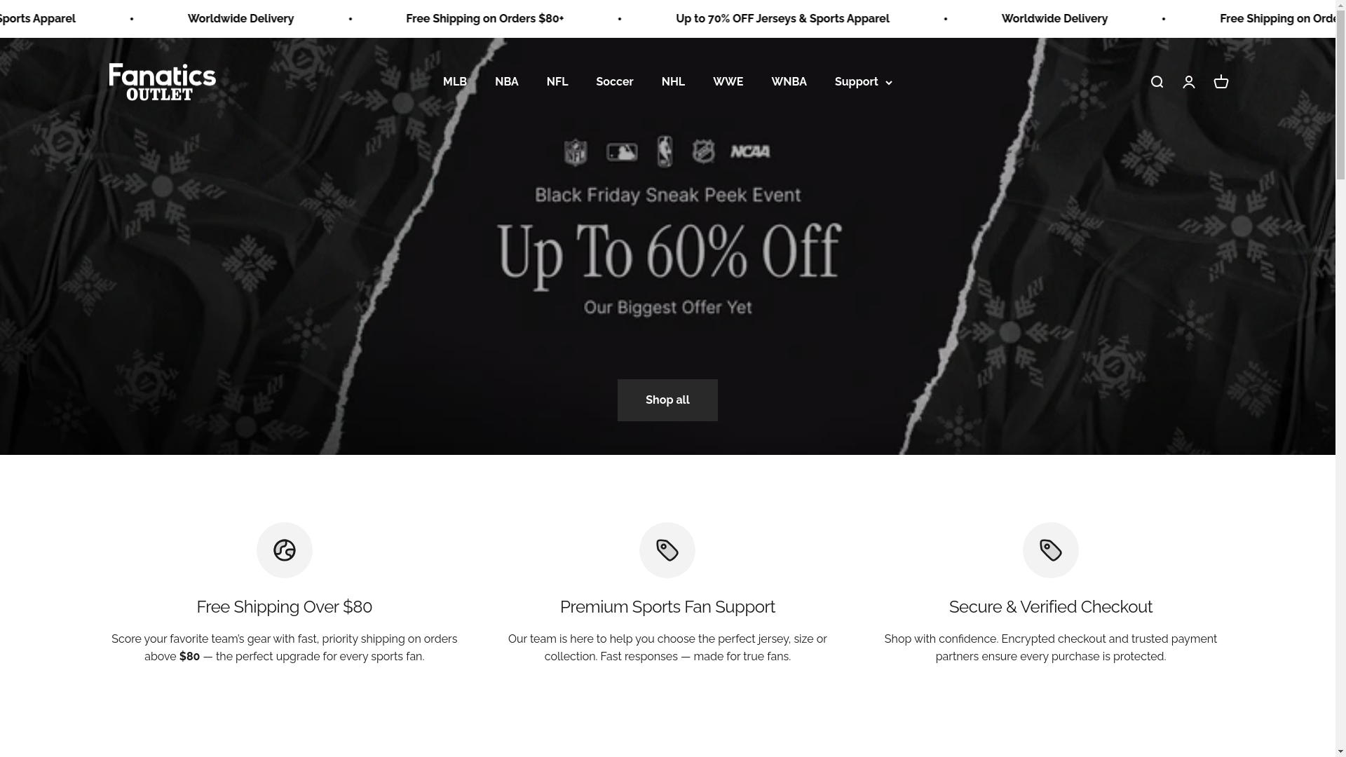 website screenshot of https://fan-outlet.store/