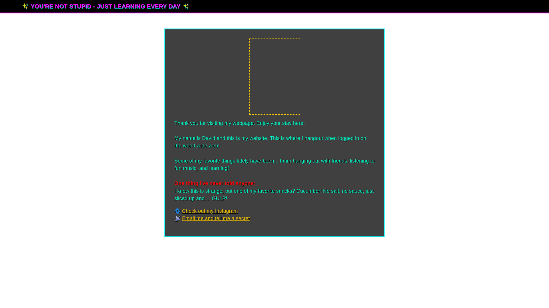 website screenshot of https://stupidfuckingidiot.com/