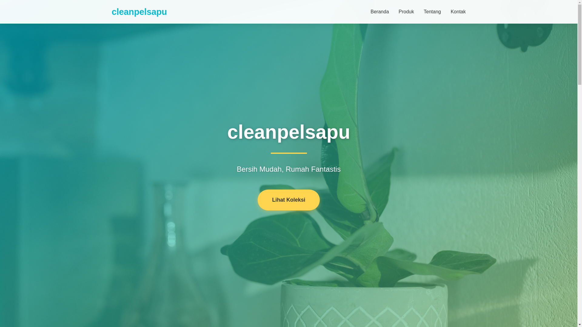 website screenshot of https://cleanpelsapu.pages.dev/