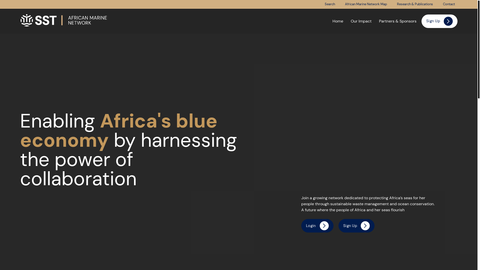 website screenshot of https://africanmarinenetwork.org/