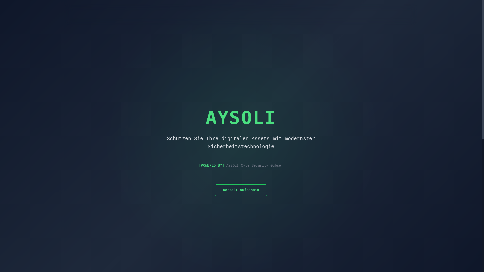 website screenshot of https://aysoli-website-worker.pages.dev/