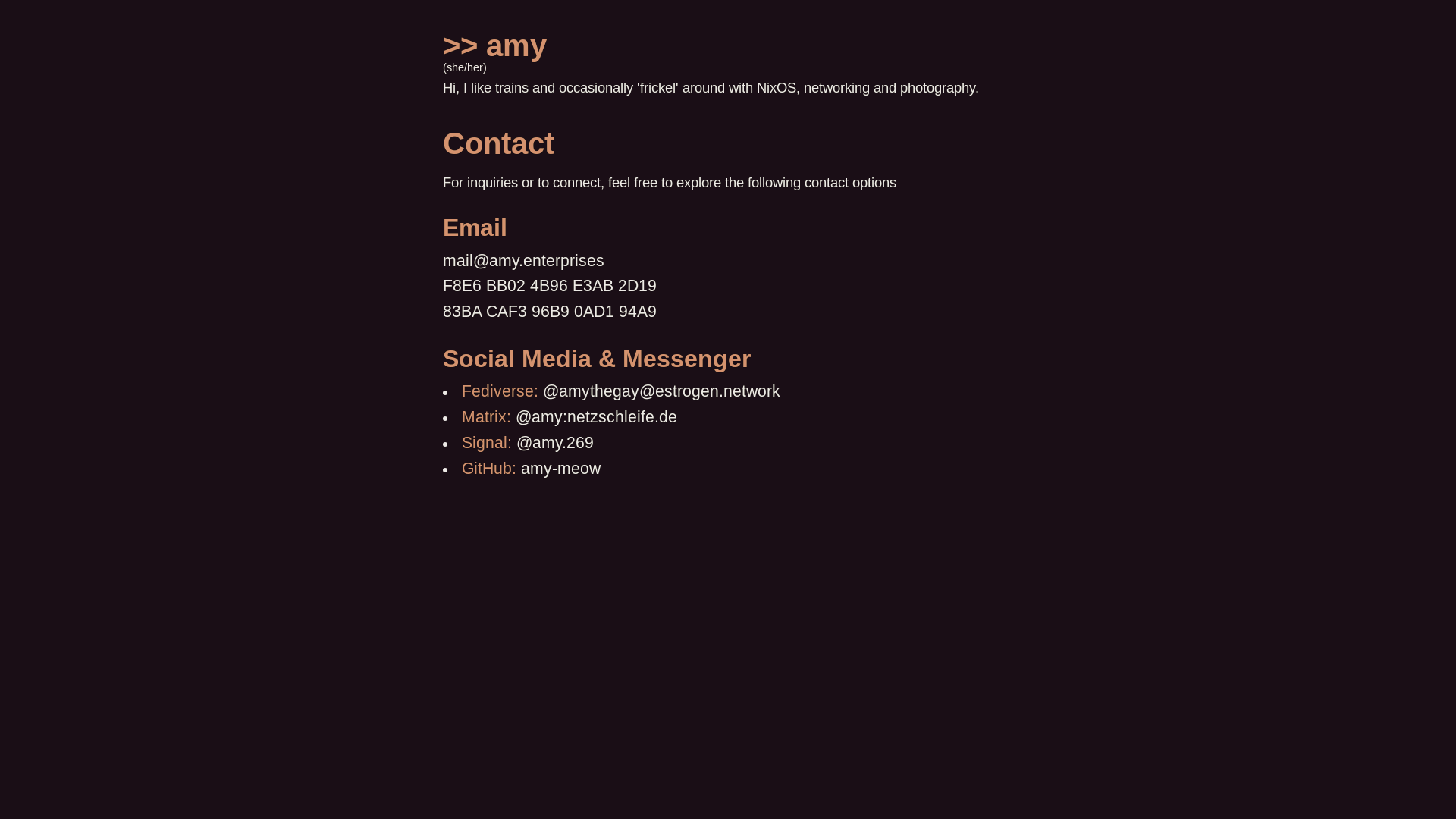 website screenshot of https://amydotenterprises.pages.dev/