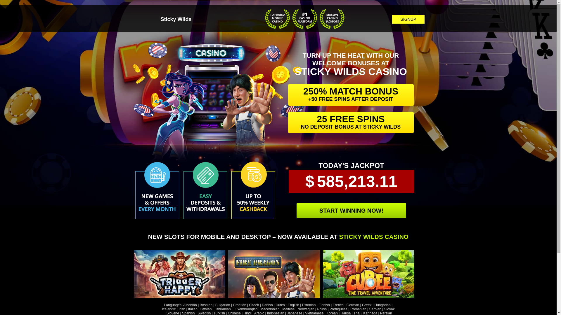 website screenshot of https://stickywilds.sbs/