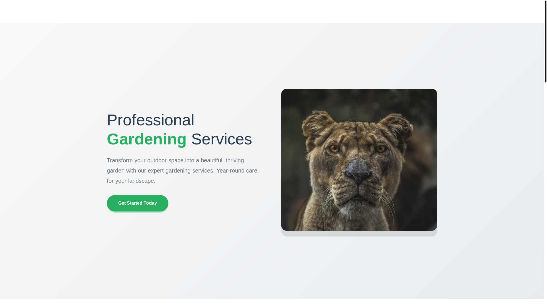 website screenshot of https://allseasongardening.digital/