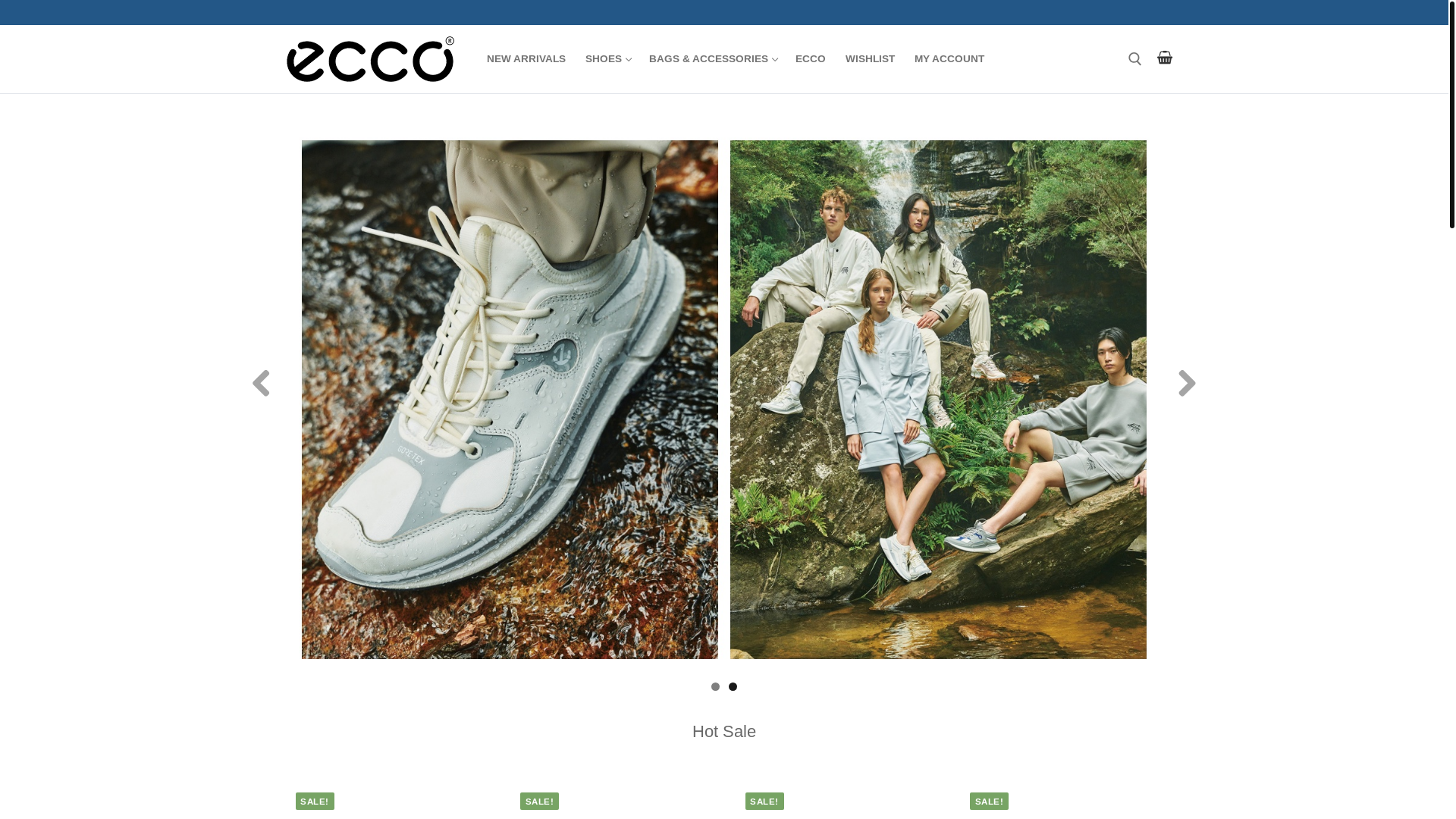 website screenshot of https://ethancarter.shop/