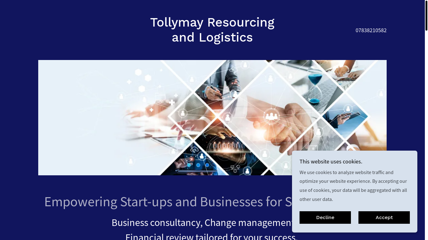 website screenshot of https://tollymayresourcingltd.co.uk/