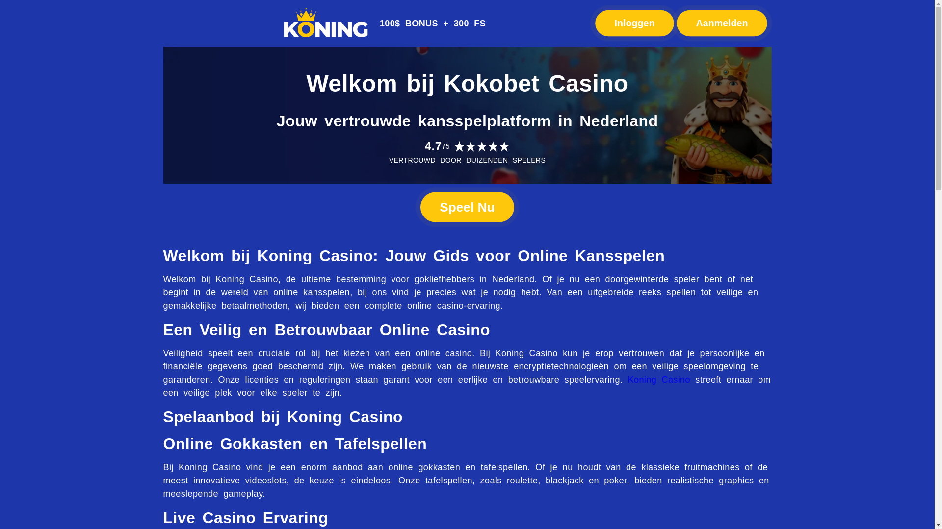 website screenshot of https://casino-koning-nl.pages.dev/