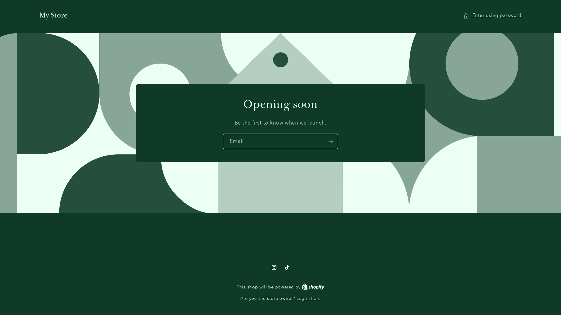 website screenshot of https://seekforvisionandmotiveent.com/