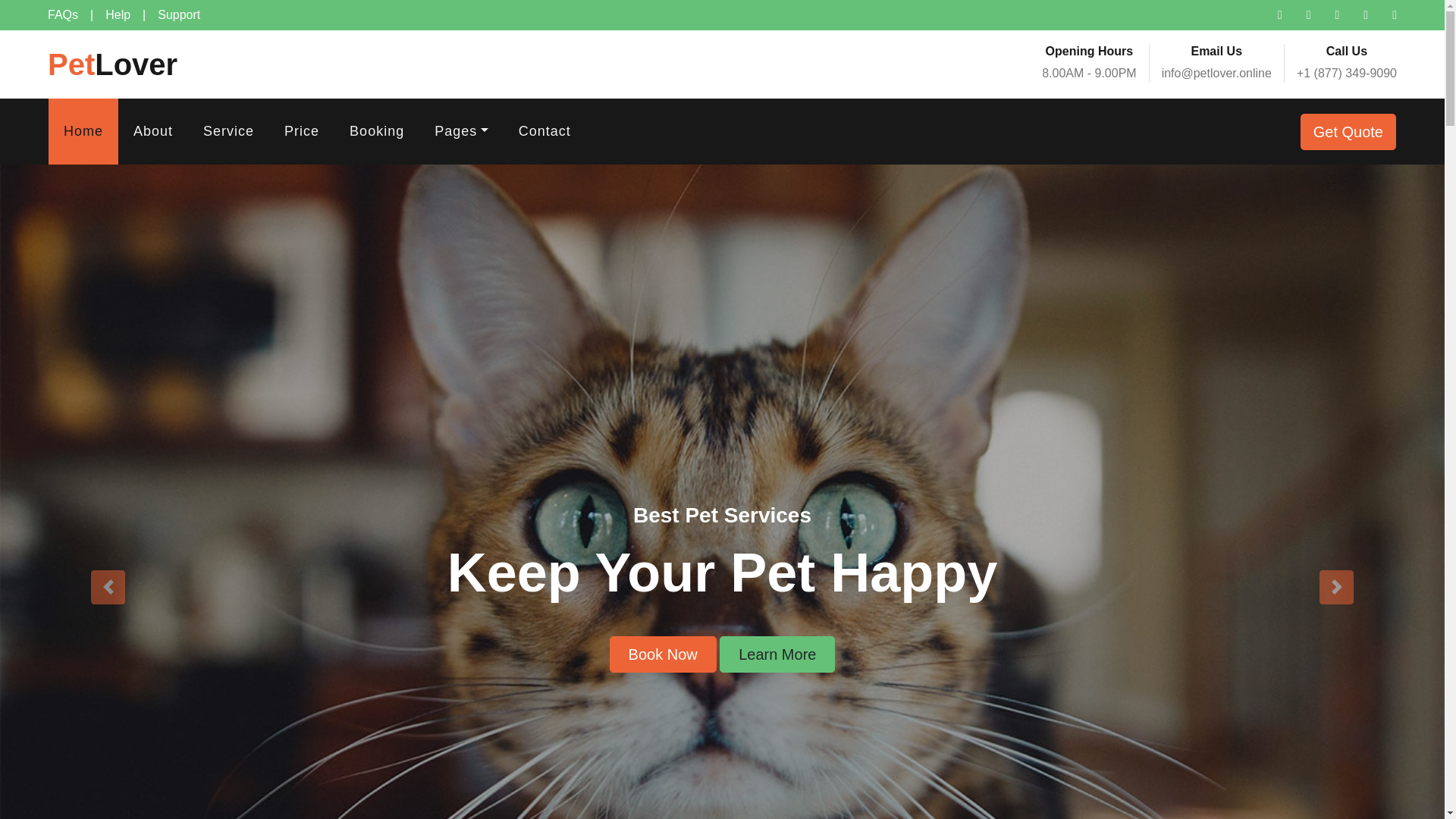 website screenshot of https://petcarelover.online/