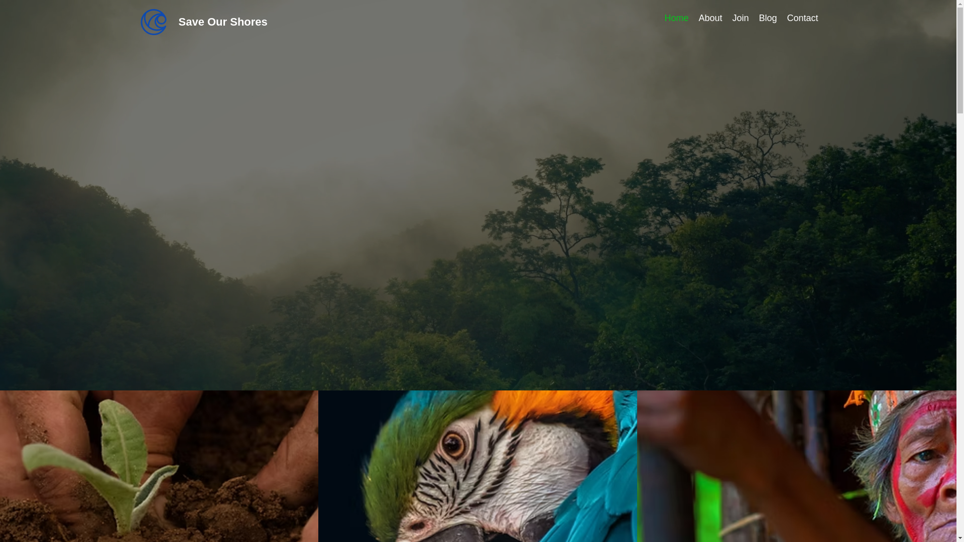 website screenshot of https://institutoprojetabrasil.org/